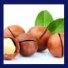 MACADAMIA - Ulei virgin- (Macadamia Integrifolia ) sticla cu pipeta 100ml, Amazingoils TOUCH THE SENSES