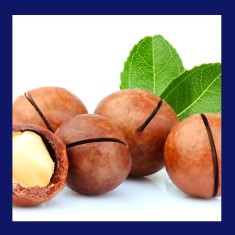 MACADAMIA - Ulei virgin- (Macadamia Integrifolia ) sticla cu pipeta 100ml