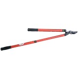 Cumpara ieftin Foarfeca pomi maner telescopic din teava cu varf subtire, Flores