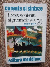 Expresionismul si premisele sale &amp;ndash; Amelia Pavel foto