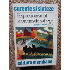 Expresionismul si premisele sale &ndash; Amelia Pavel