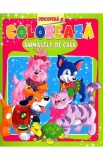 Descopera si coloreaza animalele de casa