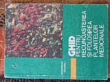 Ghid pentru recunoașterea și folosirea plantelor medicinale vintage