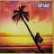 Vinil LP Eddy Grant &lrm;&ndash; Going For Broke (VG)