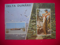 HOPCT 43386 PESCUIT IN DELTA DUNARII -JUD TULCEA-CIRCULATA foto