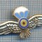 AX 767 INSIGNA - SEMN DE ARMA PARASUTISTI -PENTRU COLECTIONARI