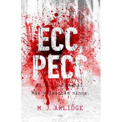 Ecc, pecc - M.J. Arlidge foto
