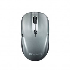 Mouse Canyon CNE-CMSW03DG Wireless Dark Gray Pearl Glossy foto