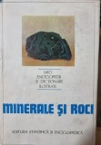 Gogu Parvu - Minerale si roci