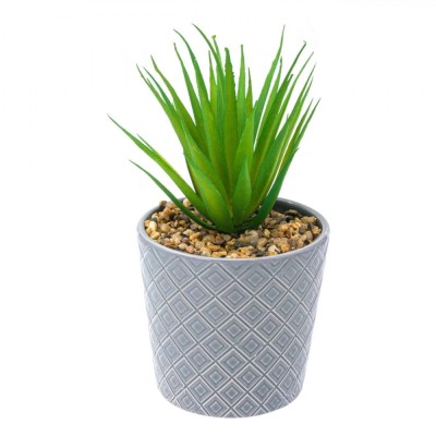 Ghiveci decorativ cu frunze de cactus, 19 cm foto