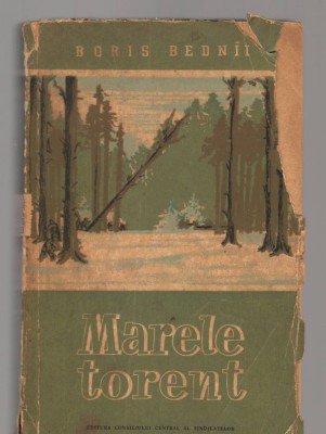 C8438 MARELE TORENT DE BORIS BEDNII foto