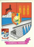 TSV - MAXIMA NEAMT - STEMA JUDETULUI HERALDICA `78 GALBEN DESCHIS