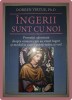 Ingerii sunt cu noi - Doreen Virtue, For You, 2010, Spiritualitate, Ezoterism, Carte Second Hand