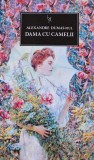 Cumpara ieftin Carte Dama cu Camelii - Alexandre Dumas Fiul - Editura Grupul Editorial Art - 2014 - Cartonata - Romane de Dragoste
