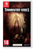 Tormented Souls NSW