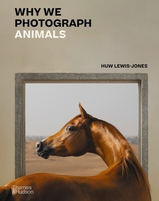 Why We Photograph Animals foto