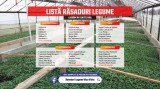 Rasaduri legume : Rasad rosii / tomate ardei castraveti vinete salata 2026