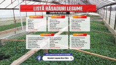 Rasaduri legume : Rasad rosii / tomate ardei castraveti vinete salata 2026
