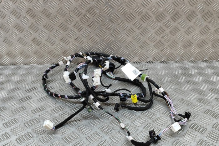 Cablaj ușă st&acirc;nga față LEXUS RX _LA1_, _LH1_ 2022 OEM: 82152-48F20 27293546