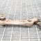 Braț drept dreapta față BMW 5 F10 2012 OEM: 6082T6 3026304