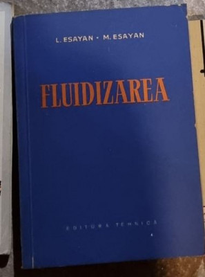 FLUIDIZAREA - L. ESAYAN foto