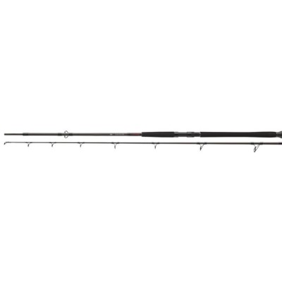 Lanseta DAIWA EXCELER CATFISH BOJE 2.70M 200-600G 2seg foto