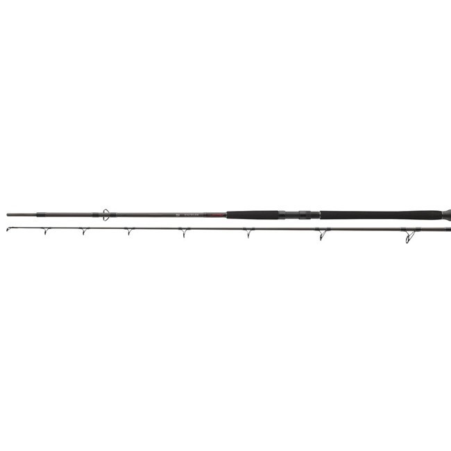 Lanseta DAIWA EXCELER CATFISH BOJE 2.70M 200-600G 2seg