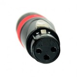 MUFA MAMA XLR