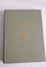 GANDIREA ECONOMICA A LUI NICOLAE BALCESCU foto