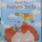 Questions &amp; Answers about the human body (Intrebari si raspunsuri despre corpul uman - carte in limba engleza)