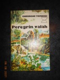 GHEORGHE TOMOZEI - PEREGRIN VALAH