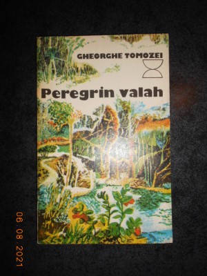 GHEORGHE TOMOZEI - PEREGRIN VALAH foto