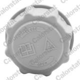 CALORSTAT by Vernet RC0039 buson,vas expansiune