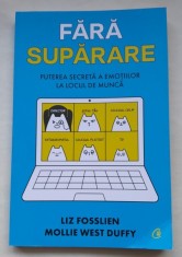 Fara suparare. Puterea secreta a emotiilor la locul de munca - Liz Fosslien foto