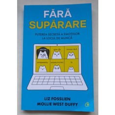 Fara suparare. Puterea secreta a emotiilor la locul de munca - Liz Fosslien