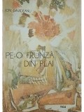 Ion Davideanu - Pe-o frunza din plai (Editia: 1984)