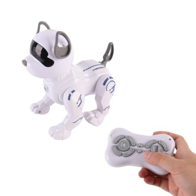 Neo c&amp;acirc;ine robot inteligent, interactiv foto