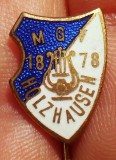 I.663 INSIGNA STICKPIN GERMANIA MUZICA LIRA MGV HOLZHAUSE h15mm email, Europa