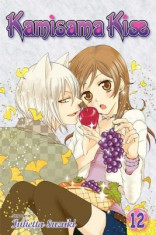 Kamisama Kiss, Vol. 12 foto