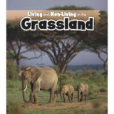 Living and Non-Living in the Grasslands