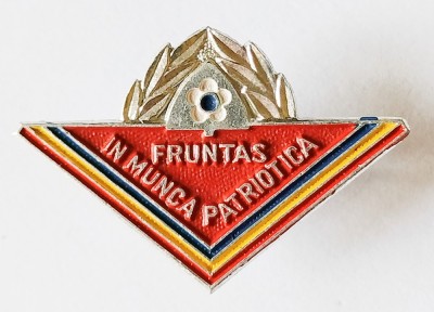 INSIGNA FRUNTAS IN MUNCA PATRIOTICA ALUMINIU VOPSIT 21/30 MM FARA CLASA IMPECABILA PIONIER PIONIERI PIONERESC ( CITITI DESCRIEREA ) foto