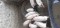 Foto  - 1