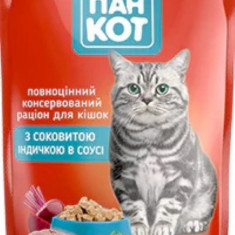 Wise Cat Hrana Umeda pentru Pisici cu Curcan in Sos 100G