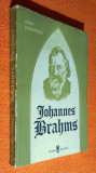 Johannes Brahms - Ioana Stefanescu
