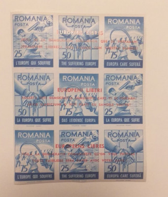 ROMANIA EXIL 1961 - PRO AMNISTIA - LIBERTATE TARILOR DIN EST - NEDANTELATE foto