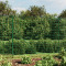 vidaXL Gard plasă de s&acirc;rmă cu țăruși de fixare, verde, 2x25 m
