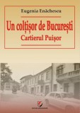 Cumpara ieftin Un colțișor de București. Cartierul Puișor - Paperback brosat - Eugenia Enăchescu - Universitară