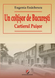 Un colțișor de București. Cartierul Puișor - Paperback brosat - Eugenia Enăchescu - Universitară