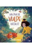 Un pui de vulpe ratacit - Carolina Rabei