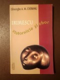 Gheorghe A. M. Ciobanu - Irimescu, statornicie și zbor